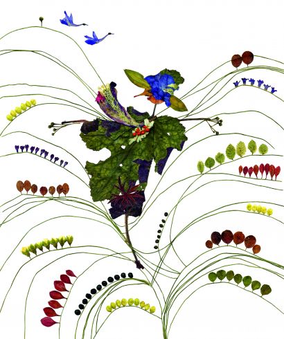 Scarecrow  - a Digital Graphics and Cartoon Artowrk by Elżbieta Wodała
